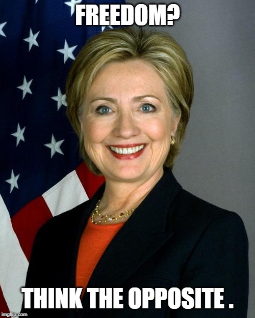 Hillary Clinton | FREEDOM? THINK THE OPPOSITE . | image tagged in memes,hillary clinton | made w/ Imgflip meme maker