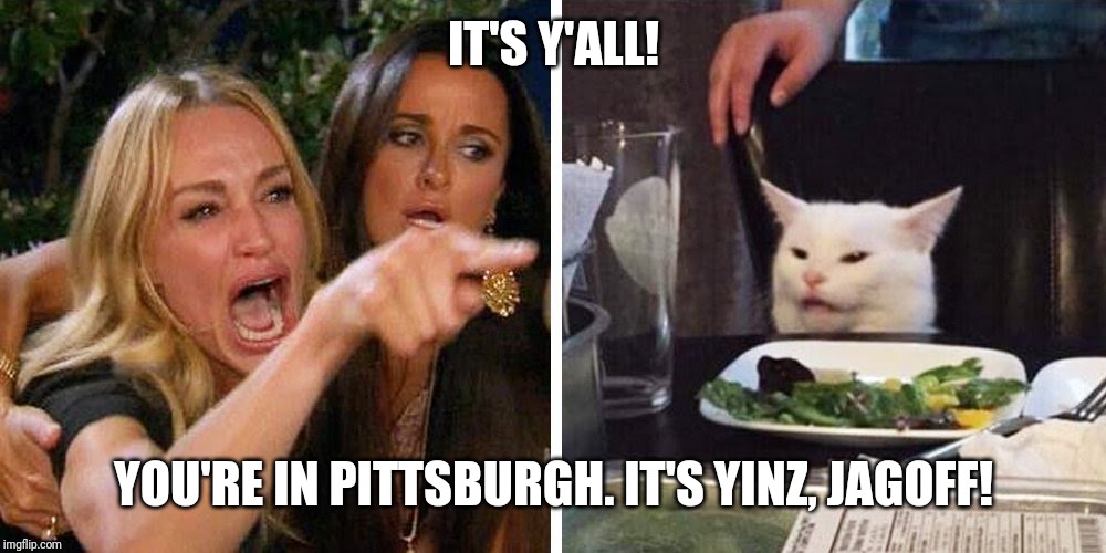 Smudge the cat | IT'S Y'ALL! YOU'RE IN PITTSBURGH. IT'S YINZ, JAGOFF! | image tagged in smudge the cat | made w/ Imgflip meme maker