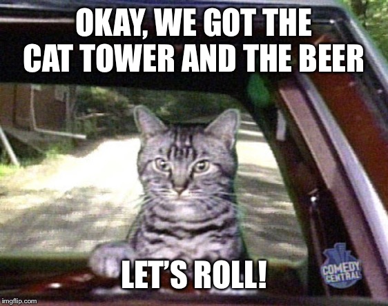 Toonsis the cat that could drive | OKAY, WE GOT THE CAT TOWER AND THE BEER LET’S ROLL! | image tagged in toonsis the cat that could drive | made w/ Imgflip meme maker