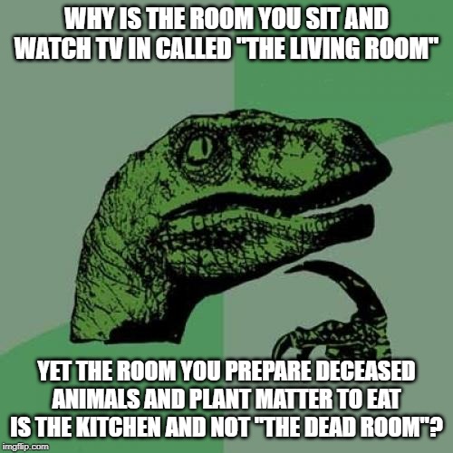 Roomology | WHY IS THE ROOM YOU SIT AND WATCH TV IN CALLED "THE LIVING ROOM"; YET THE ROOM YOU PREPARE DECEASED ANIMALS AND PLANT MATTER TO EAT IS THE KITCHEN AND NOT "THE DEAD ROOM"? | image tagged in memes,philosoraptor | made w/ Imgflip meme maker
