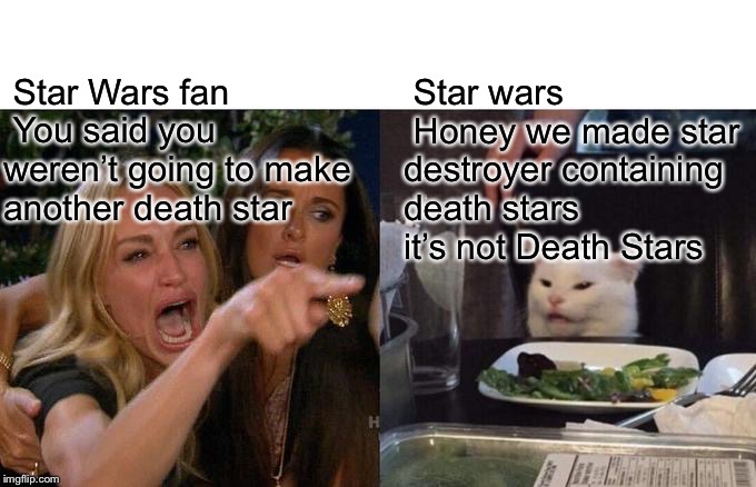 Star Wars the rise Skywalker  spoiler | Star wars
 Honey we made star destroyer containing death stars 
it’s not Death Stars; Star Wars fan 
 You said you weren’t going to make another death star | image tagged in memes,woman yelling at cat | made w/ Imgflip meme maker