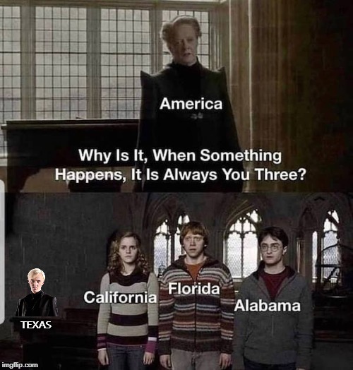 TEXAS | image tagged in hairy pooter | made w/ Imgflip meme maker