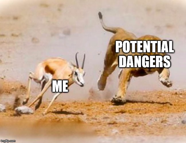 Lion chase | POTENTIAL DANGERS; ME | image tagged in lion chase | made w/ Imgflip meme maker
