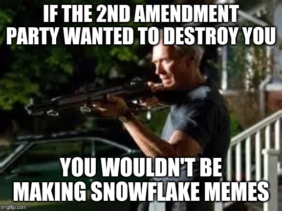 Gran torino rifle | IF THE 2ND AMENDMENT PARTY WANTED TO DESTROY YOU YOU WOULDN'T BE MAKING SNOWFLAKE MEMES | image tagged in gran torino rifle | made w/ Imgflip meme maker