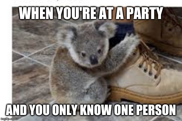 WHEN YOU'RE AT A PARTY; AND YOU ONLY KNOW ONE PERSON | image tagged in memes,gifs,creepy condescending wonka,confession bear,scumbag | made w/ Imgflip meme maker