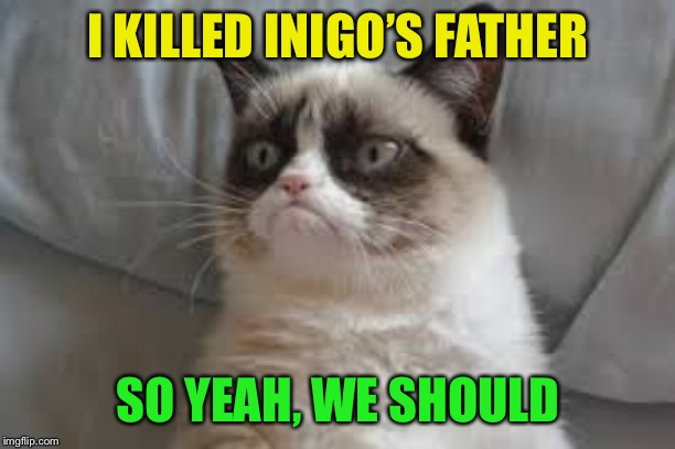Grumpy cat | I KILLED INIGO’S FATHER SO YEAH, WE SHOULD | image tagged in grumpy cat | made w/ Imgflip meme maker
