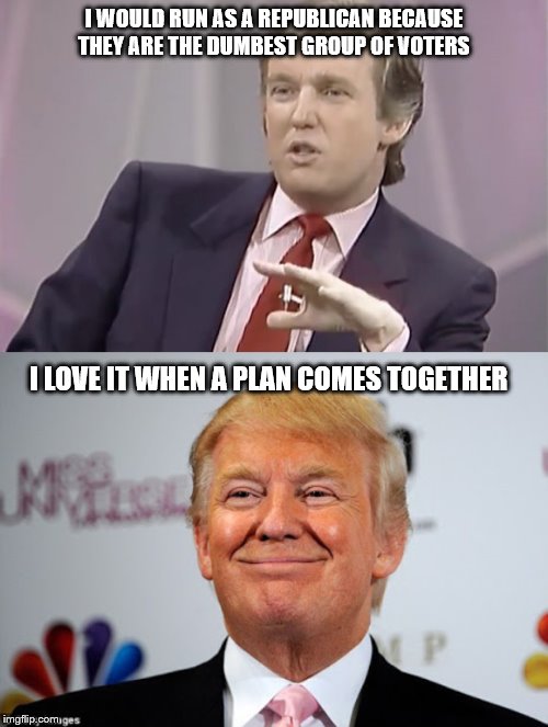 I WOULD RUN AS A REPUBLICAN BECAUSE THEY ARE THE DUMBEST GROUP OF VOTERS; I LOVE IT WHEN A PLAN COMES TOGETHER | image tagged in donald trump approves,young trump | made w/ Imgflip meme maker