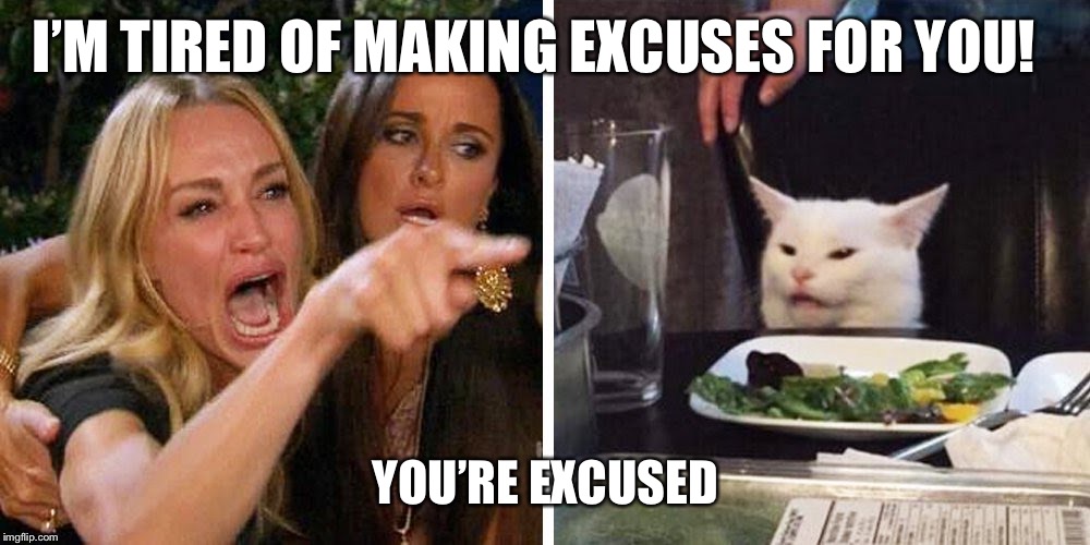 Smudge the cat | I’M TIRED OF MAKING EXCUSES FOR YOU! YOU’RE EXCUSED | image tagged in smudge the cat | made w/ Imgflip meme maker