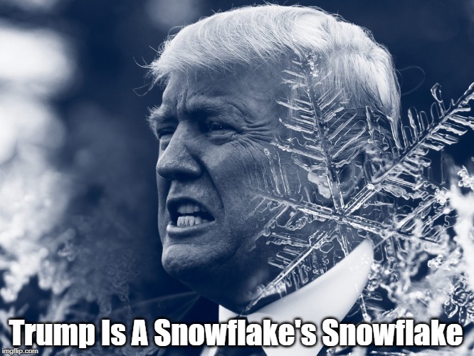"Trump Is A Snowflake's Snowflake" | Trump Is A Snowflake's Snowflake | image tagged in trump,snowflake,brown back teeth | made w/ Imgflip meme maker