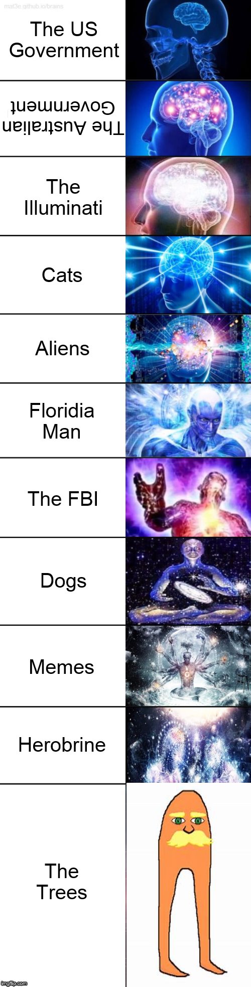 Extended Expanding Brain | The US Government; The Australian Government; The Illuminati; Cats; Aliens; Floridia Man; The FBI; Dogs; Memes; Herobrine; The Trees | image tagged in extended expanding brain | made w/ Imgflip meme maker