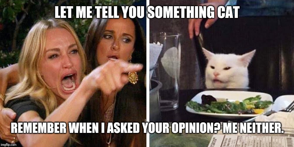 Smudge the cat | LET ME TELL YOU SOMETHING CAT; REMEMBER WHEN I ASKED YOUR OPINION? ME NEITHER. | image tagged in smudge the cat | made w/ Imgflip meme maker