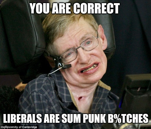 Steven Hawkingz | YOU ARE CORRECT LIBERALS ARE SUM PUNK B%TCHES | image tagged in steven hawkingz | made w/ Imgflip meme maker