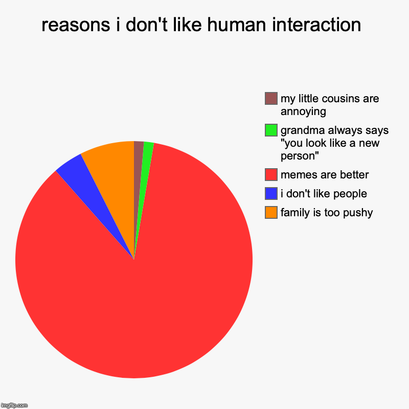 reasons i don't like human interaction | family is too pushy, i don't like people, memes are better, grandma always says "you look like a ne | image tagged in charts,pie charts | made w/ Imgflip chart maker