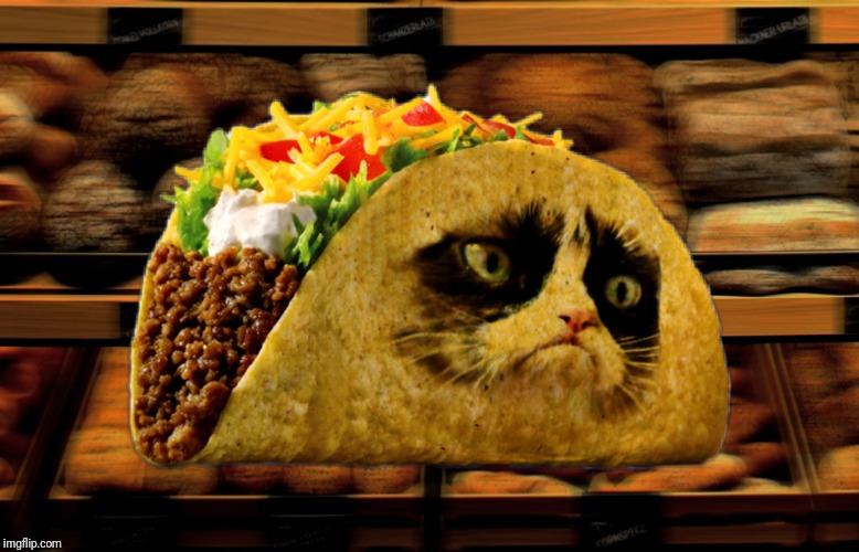 Grumpy taco cat | image tagged in memes,grumpy cat,new memes,cats,woman yelling at cat,taco bell | made w/ Imgflip meme maker