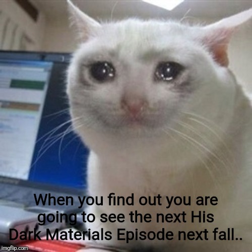Crying cat | When you find out you are going to see the next His Dark Materials Episode next fall.. | image tagged in crying cat | made w/ Imgflip meme maker