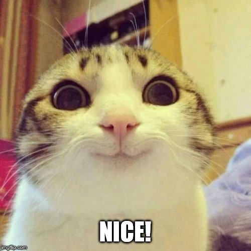 Smiling Cat | NICE! | image tagged in memes,smiling cat | made w/ Imgflip meme maker