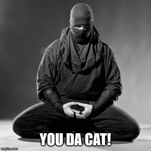 Ninja Zen | YOU DA CAT! | image tagged in ninja zen | made w/ Imgflip meme maker