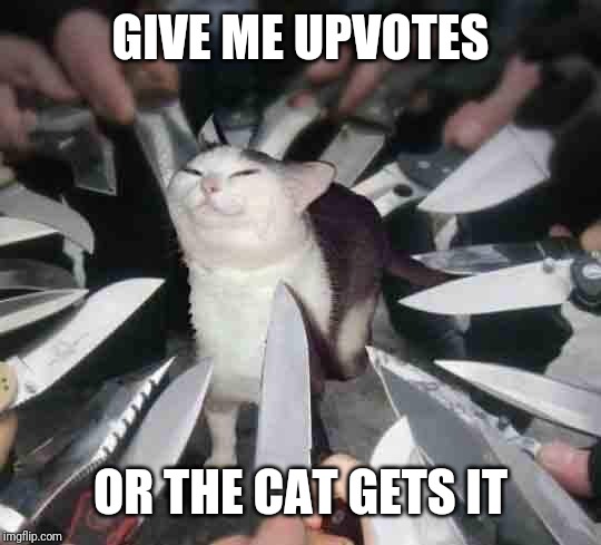 Knife Cat | GIVE ME UPVOTES; OR THE CAT GETS IT | image tagged in knife cat | made w/ Imgflip meme maker