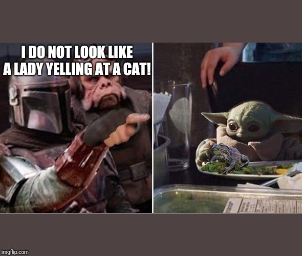 Not a Lady Yelling at a Cat | I DO NOT LOOK LIKE A LADY YELLING AT A CAT! | image tagged in mandalorian yelling at baby yoda | made w/ Imgflip meme maker