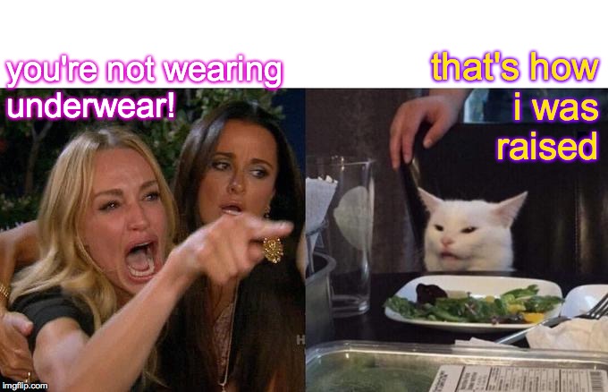 Woman Yelling At Cat Meme | you're not wearing
underwear! that's how
i was
raised | image tagged in memes,woman yelling at cat | made w/ Imgflip meme maker