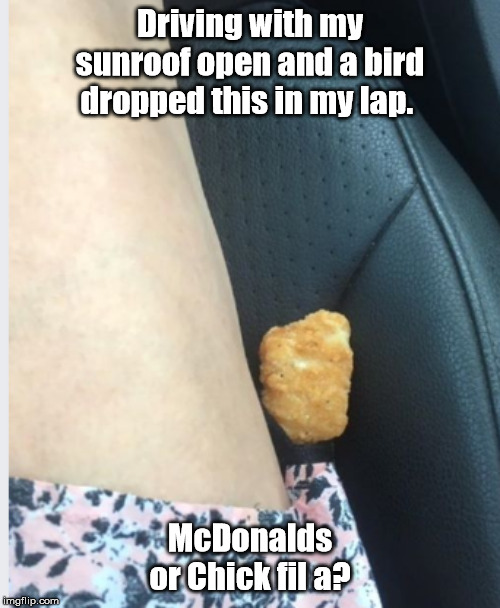 When a chicken nugget falls randomly through your sunroof | Driving with my sunroof open and a bird dropped this in my lap. McDonalds or Chick fil a? | image tagged in when a chicken nugget falls randomly through your sunroof | made w/ Imgflip meme maker