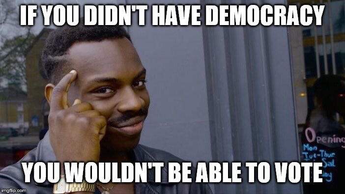 Roll Safe Think About It Meme | IF YOU DIDN'T HAVE DEMOCRACY YOU WOULDN'T BE ABLE TO VOTE | image tagged in memes,roll safe think about it | made w/ Imgflip meme maker