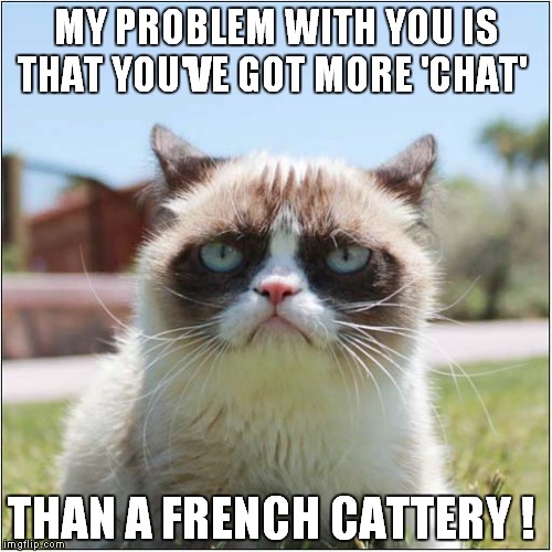 Grumpys French Cattery | MY PROBLEM WITH YOU IS THAT YOU'VE GOT MORE 'CHAT'; THAN A FRENCH CATTERY ! | image tagged in fun,grumpy cat,french | made w/ Imgflip meme maker
