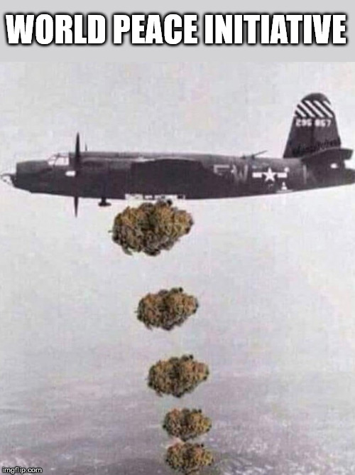Smoke Them Out! | WORLD PEACE INITIATIVE | image tagged in weed,cannabis,world peace | made w/ Imgflip meme maker