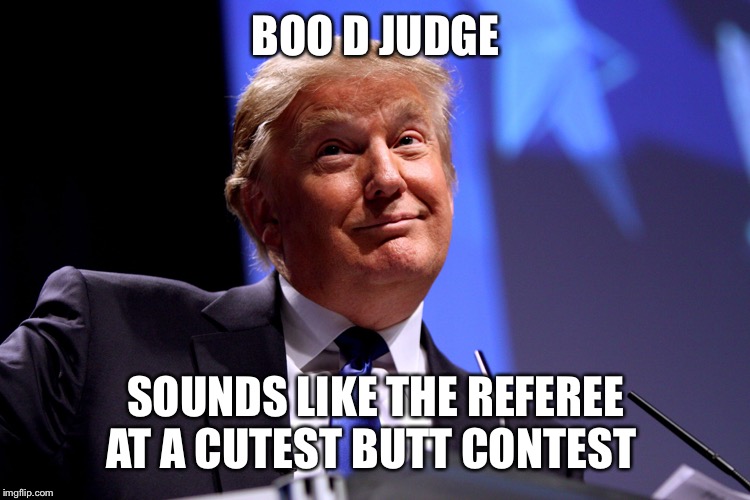 Donald Trump No2 | BOO D JUDGE; SOUNDS LIKE THE REFEREE AT A CUTEST BUTT CONTEST | image tagged in donald trump no2 | made w/ Imgflip meme maker