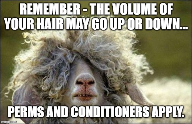 REMEMBER - THE VOLUME OF YOUR HAIR MAY GO UP OR DOWN... PERMS AND CONDITIONERS APPLY. | image tagged in sheep | made w/ Imgflip meme maker