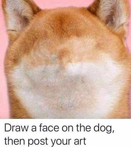Draw On Dog Challenge Blank Meme Template