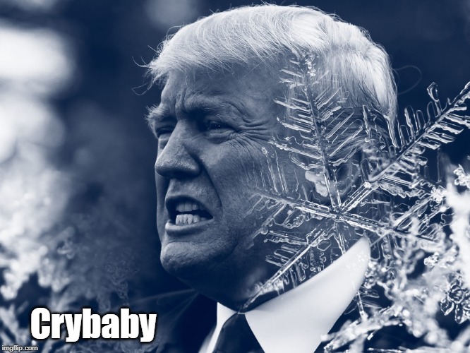 Crybaby | made w/ Imgflip meme maker