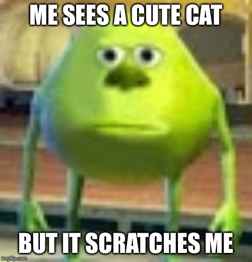 Sully Wazowski | ME SEES A CUTE CAT; BUT IT SCRATCHES ME | image tagged in sully wazowski | made w/ Imgflip meme maker