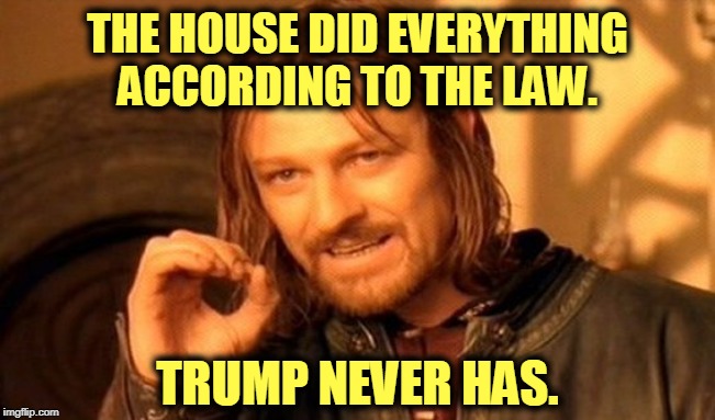 One Does Not Simply Meme | THE HOUSE DID EVERYTHING ACCORDING TO THE LAW. TRUMP NEVER HAS. | image tagged in memes,one does not simply | made w/ Imgflip meme maker