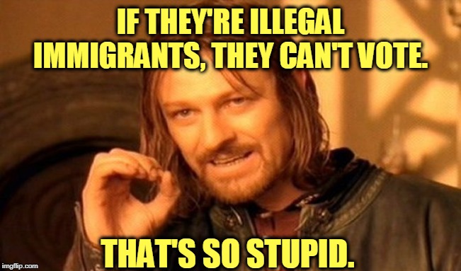 One Does Not Simply Meme | IF THEY'RE ILLEGAL IMMIGRANTS, THEY CAN'T VOTE. THAT'S SO STUPID. | image tagged in memes,one does not simply | made w/ Imgflip meme maker