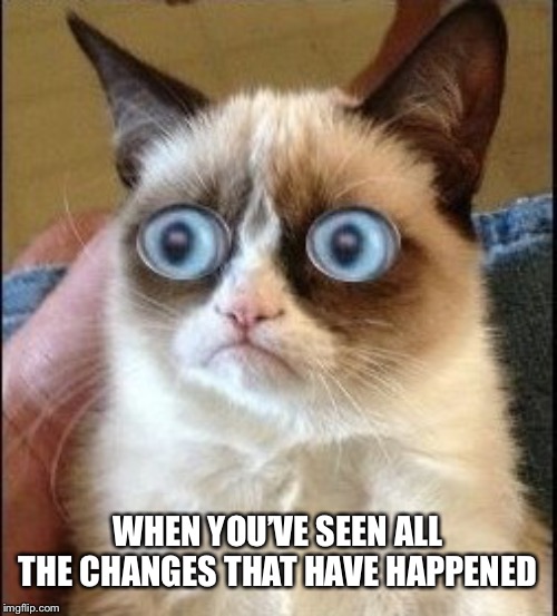 Grumpy Cat Shocked | WHEN YOU’VE SEEN ALL THE CHANGES THAT HAVE HAPPENED | image tagged in grumpy cat shocked | made w/ Imgflip meme maker