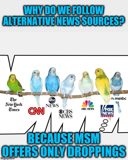 Lies, Distortions and Deceptions | WHY DO WE FOLLOW ALTERNATIVE NEWS SOURCES? BECAUSE MSM OFFERS ONLY DROPPINGS | image tagged in parakeet msm | made w/ Imgflip meme maker