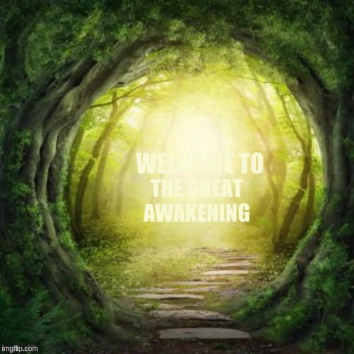 #WWG1WGAWW x x X | WELCOME TO; THE GREAT AWAKENING | image tagged in the great awakening,qanon | made w/ Imgflip meme maker