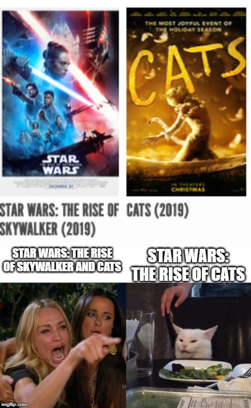 star wars: the rise of CATS | STAR WARS: THE RISE OF SKYWALKER AND CATS; STAR WARS: THE RISE OF CATS | image tagged in memes,woman yelling at cat,star wars,cats,movie | made w/ Imgflip meme maker