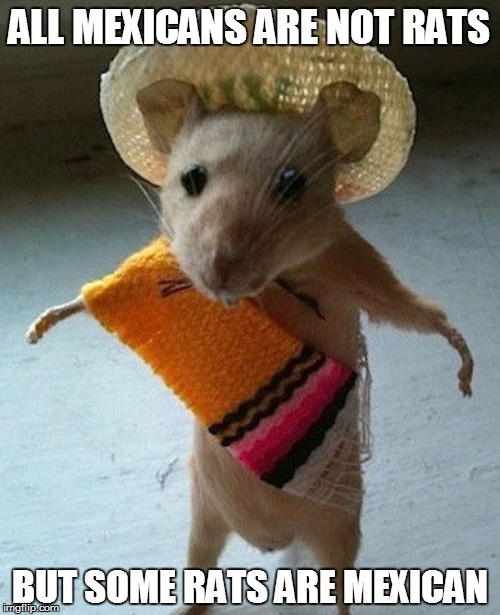 ALL MEXICANS ARE NOT RATS BUT SOME RATS ARE MEXICAN | made w/ Imgflip meme maker