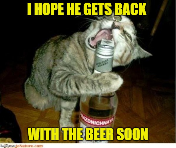 Cat Drinking 2 | I HOPE HE GETS BACK WITH THE BEER SOON | image tagged in cat drinking 2 | made w/ Imgflip meme maker