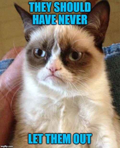 Grumpy Cat Meme | THEY SHOULD HAVE NEVER LET THEM OUT | image tagged in memes,grumpy cat | made w/ Imgflip meme maker