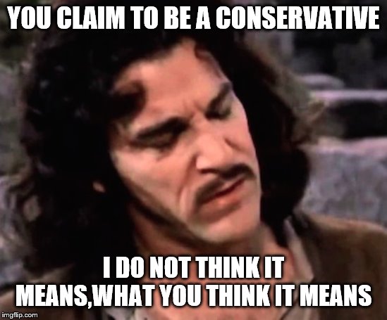 indigo | YOU CLAIM TO BE A CONSERVATIVE I DO NOT THINK IT MEANS,WHAT YOU THINK IT MEANS | image tagged in indigo | made w/ Imgflip meme maker