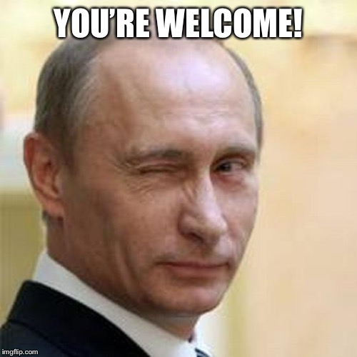 Putin Wink | YOU’RE WELCOME! | image tagged in putin wink | made w/ Imgflip meme maker