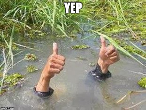 FLOODING THUMBS UP | YEP | image tagged in flooding thumbs up | made w/ Imgflip meme maker