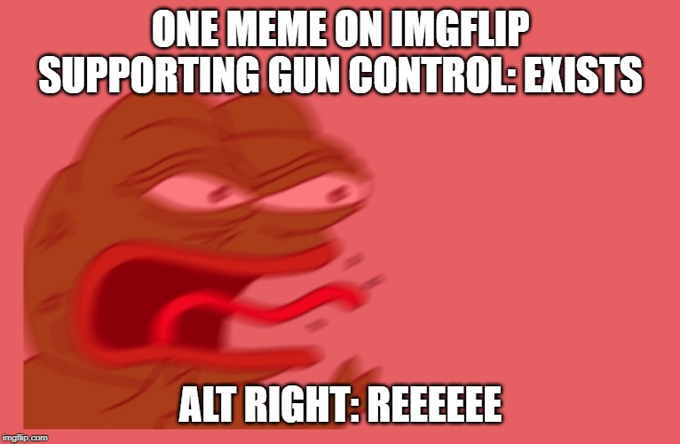 Hello Again | ONE MEME ON IMGFLIP SUPPORTING GUN CONTROL: EXISTS; ALT RIGHT: REEEEEE | image tagged in reeee,politics | made w/ Imgflip meme maker