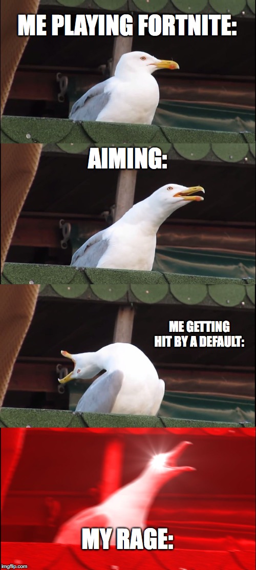 Inhaling Seagull | ME PLAYING FORTNITE:; AIMING:; ME GETTING HIT BY A DEFAULT:; MY RAGE: | image tagged in memes,inhaling seagull | made w/ Imgflip meme maker