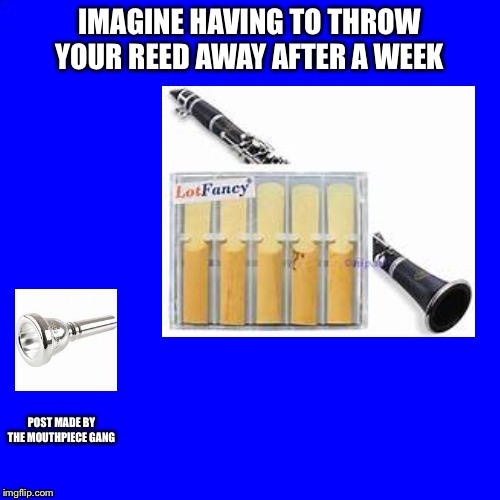Blue Square | IMAGINE HAVING TO THROW YOUR REED AWAY AFTER A WEEK; POST MADE BY THE MOUTHPIECE GANG | image tagged in blue square | made w/ Imgflip meme maker