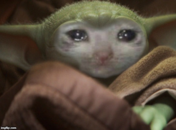 image tagged in baby yoda,sad cat | made w/ Imgflip meme maker