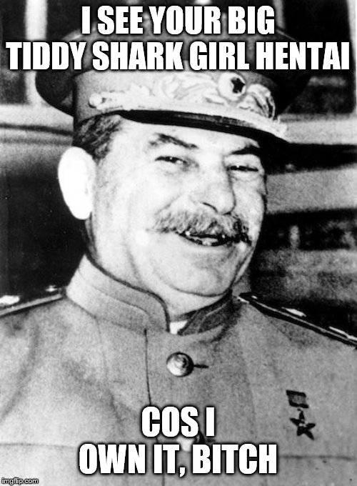 Stalin smile | I SEE YOUR BIG TIDDY SHARK GIRL HENTAI COS I OWN IT, B**CH | image tagged in stalin smile | made w/ Imgflip meme maker